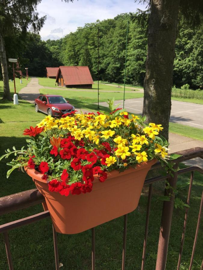 Zaruby Resort Smolenice Eksteriør billede
